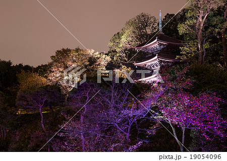 椿山荘 庭園　ライトアップ 19054096