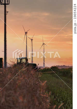 A Tractor and a field of wheat A Tractor and a field of wheat 19054224