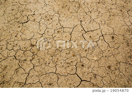 Dry cracked ground 19054870