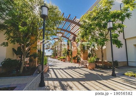 美しい商店街の植栽 美しい商店街の植栽 19056582
