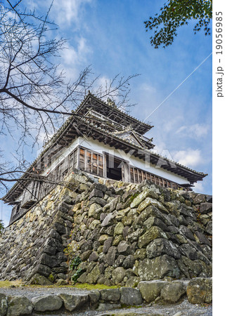 丸岡城 19056985