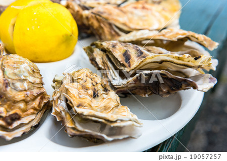 A dozen oysters on a plastic plate A dozen oysters on a plastic plate 19057257