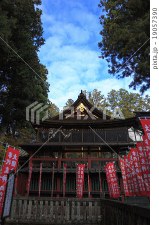 浅間神社の紅葉 浅間神社の紅葉 19057390