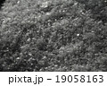 雪 19058163