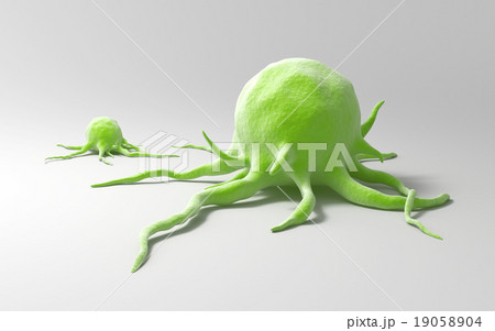 Cancer cells 19058904