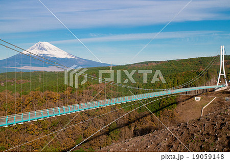 箱根西麓 三島大吊橋 19059148