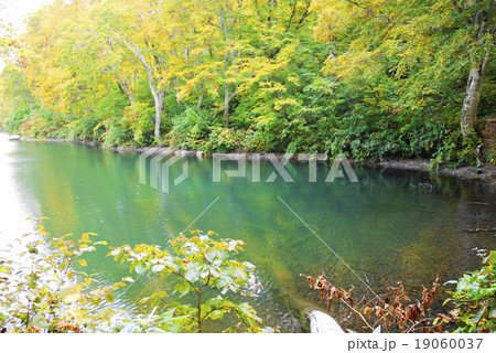 雨飾高原　鎌池 19060037
