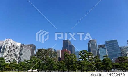 松林と丸の内ビル群と青空 松林と丸の内ビル群と青空 19060920