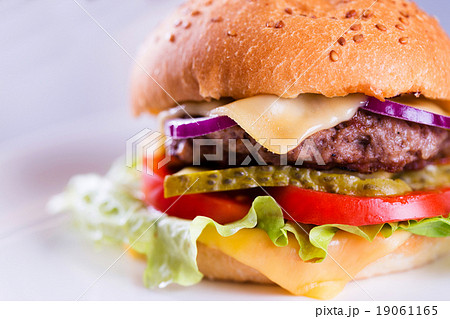 Fresh tasty homemade burger Fresh tasty homemade burger 19061165