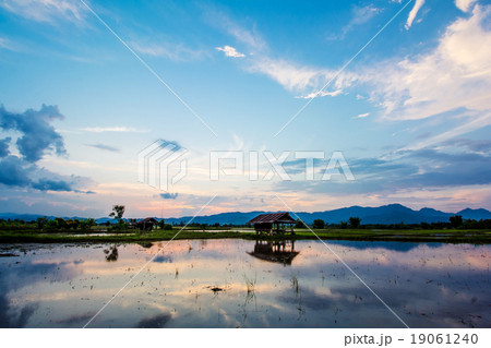 Sunset over wild lake after rain Sunset over wild lake after rain 19061240