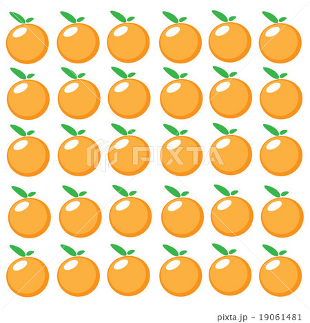 orange vector fruit juice illustration  leaf 19061481