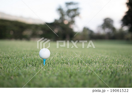 golf ball on tee in evening ligth 19061522