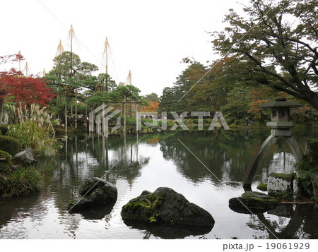 秋の兼六園(徽軫灯籠と唐崎松雪吊り) 秋の兼六園(徽軫灯籠と唐崎松雪吊り) 19061929