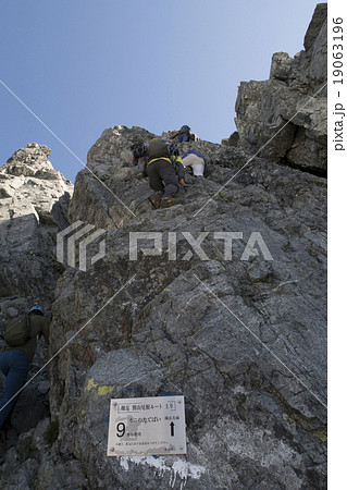カニのたてばい カニのたてばい 19063196