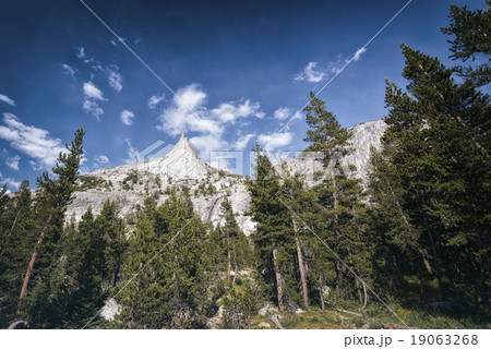 Landscape in the Sierra Nevada Mountains 19063268