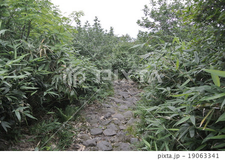 鳥海山の登山道 鳥海山の登山道 19063341