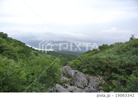 鳥海山の登山道 19063342