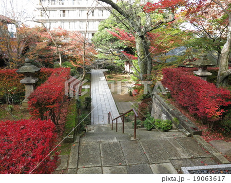 紅葉が美しい山代温泉の薬王院温泉寺の写真素材