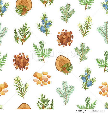 Coniferous, pine, wood and resin seamless pattern 19063827