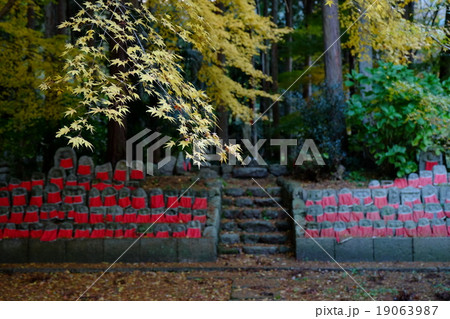 九品寺の秋(奈良県御所市) 九品寺の秋(奈良県御所市) 19063987