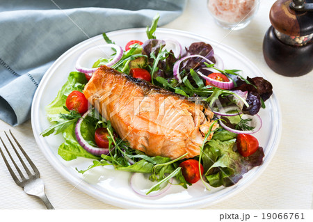 Salmon steak with salad 19066761