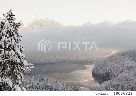 Alpsee lake in winter landscape 19066822