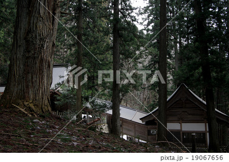 熊野神社拝殿　本殿　庄原市西城町熊野　残雪 19067656
