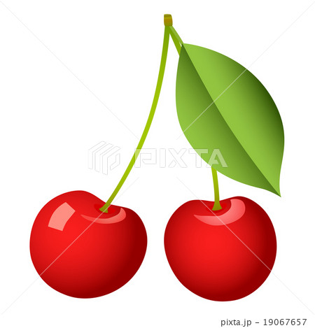 Cherry fruit isolated on white background 19067657