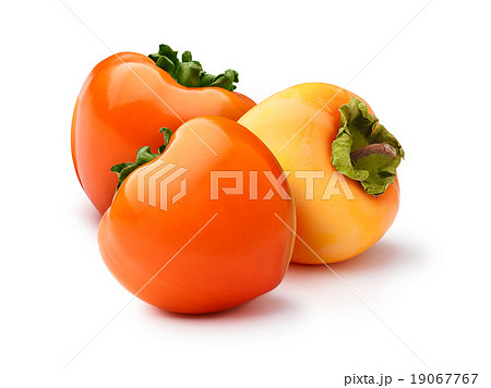 Group of persimmons isolated Group of persimmons isolated 19067767