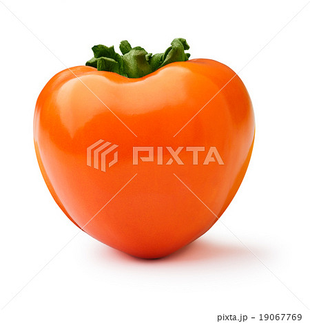 Whole persimmon isolated 19067769