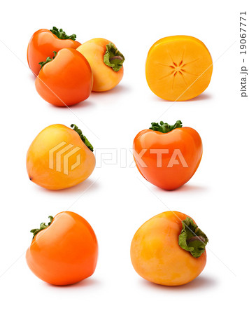Persimmons isolated set Persimmons isolated set 19067771