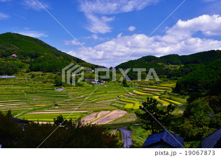 大垪和西棚田と青空 19067873