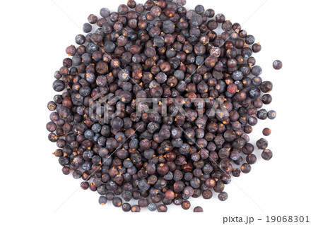 Dried black currant Dried black currant 19068301