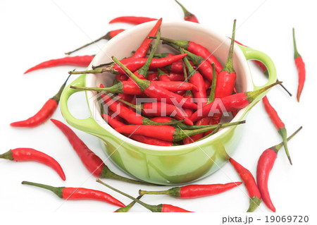 chili pepper isolated on a white background chili pepper isolated on a white background 19069720