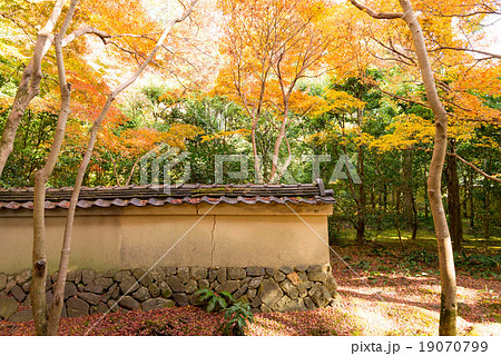 蓮華寺 寺 寺院 京都 紅葉 秋 自然 旅 観光 名所 庭 風景 赤 紅 日本 和風 行楽 背景の写真素材