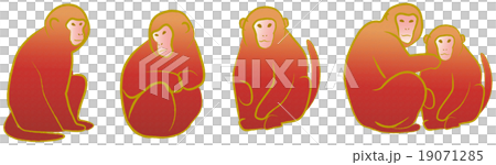 紅猴子材料 紅猴子材料 19071285