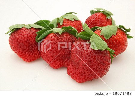 苺　あまおう 19071498