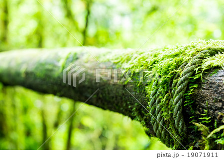 Old wooden block with a rope for passage Old wooden block with a rope for passage 19071911
