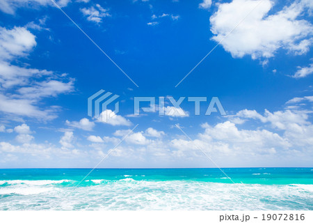 tropical beach tropical beach 19072816