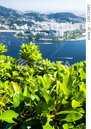 Rio de Janeiro, Brazil Rio de Janeiro, Brazil 19072983