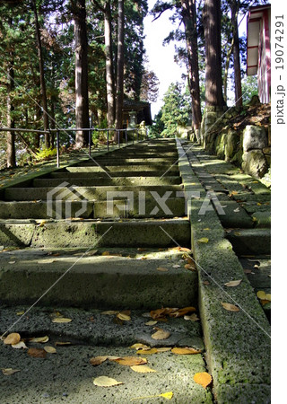 熊野神社の石段 19074291