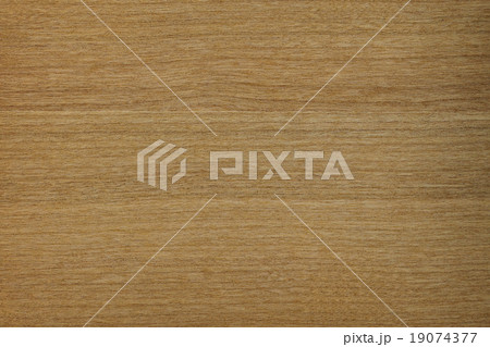 チェリー 19074377