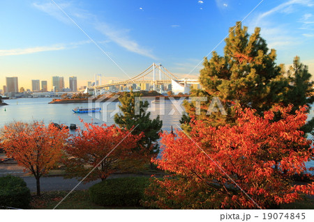 お台場　紅葉　夕景 19074845