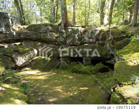 三島溶岩流 三島溶岩流 19075119