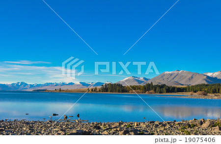 landscape in New Zealand 19075406