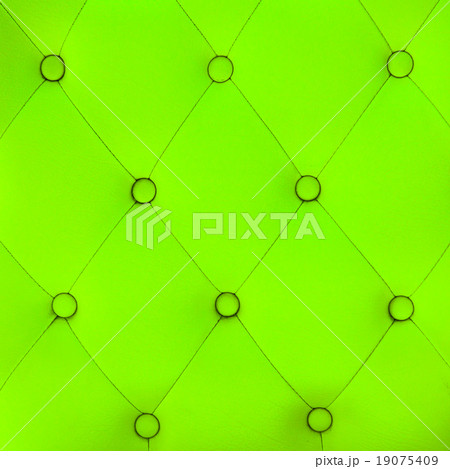 leather sofa color green background leather sofa color green background 19075409