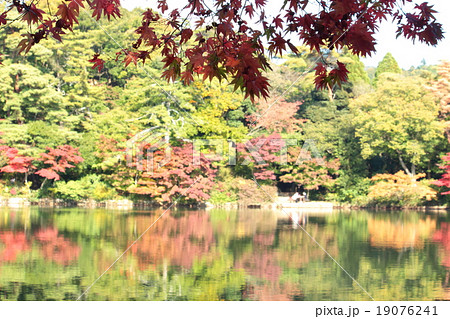 風景　秋　六甲山系　修法ヶ原池　再度公園 19076241