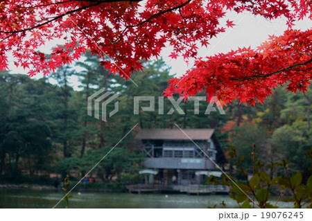 風景　秋　六甲山系　修法ヶ原池　再度公園 19076245