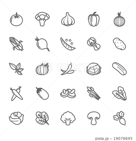 Set of Outline stroke Vegetable icon Vector Set of Outline stroke Vegetable icon Vector 19076695