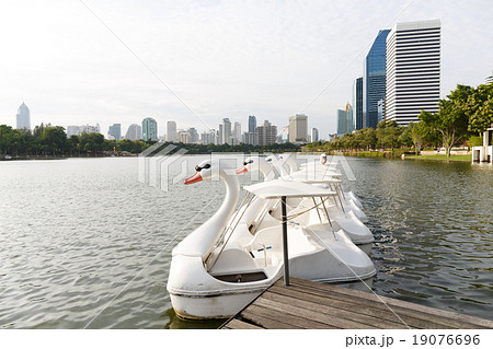 Paddle boat shaped swan shot at Benchakitti Park Paddle boat shaped swan shot at Benchakitti Park 19076696